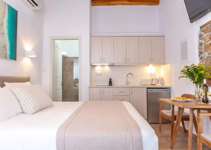 Castle Mansions מלון דירות Naxos City